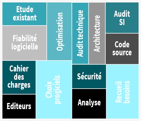 actitivte_conseil
