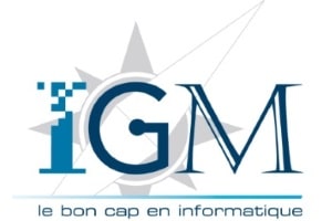 ssii orléans igm