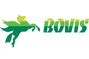 Logo BOVIS