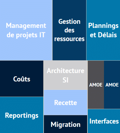 Treemap Chefferie de projets it